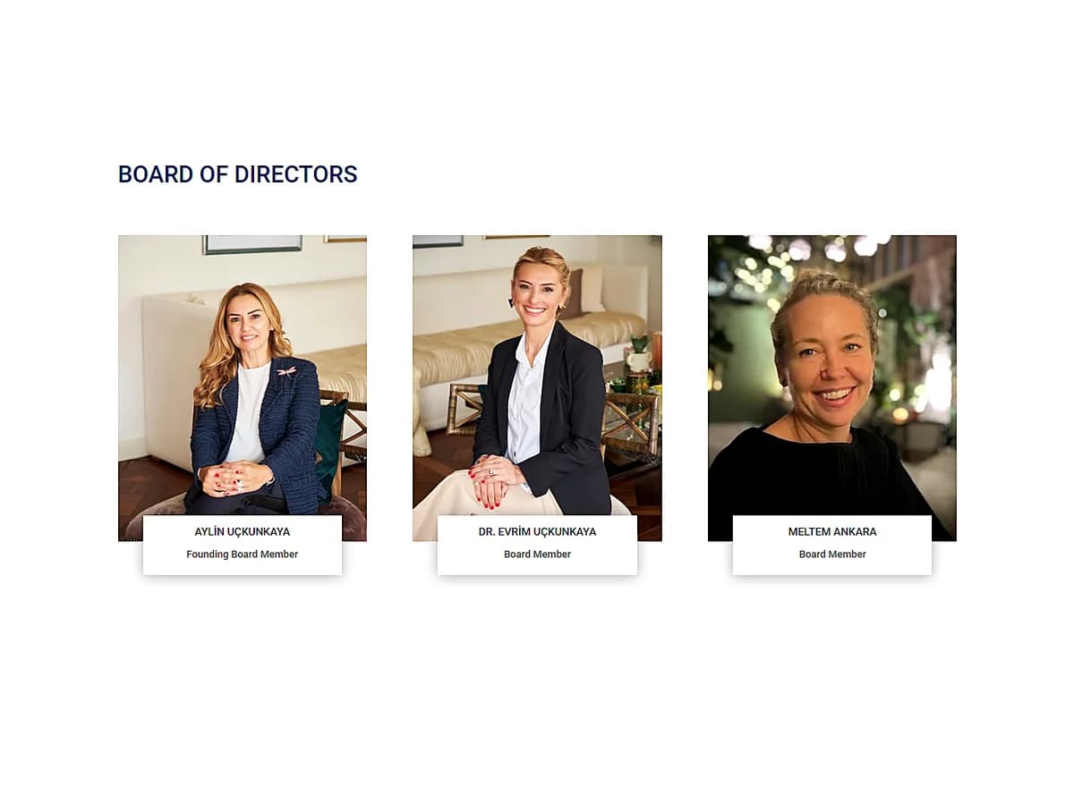 CSD Foundation preview image