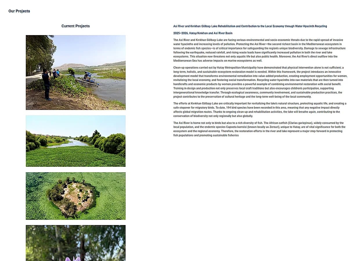 Tursiyev preview image